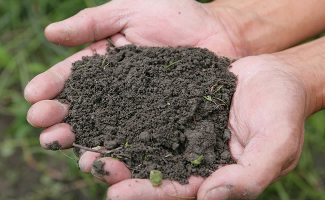 腐植酸改善土壤保护环境